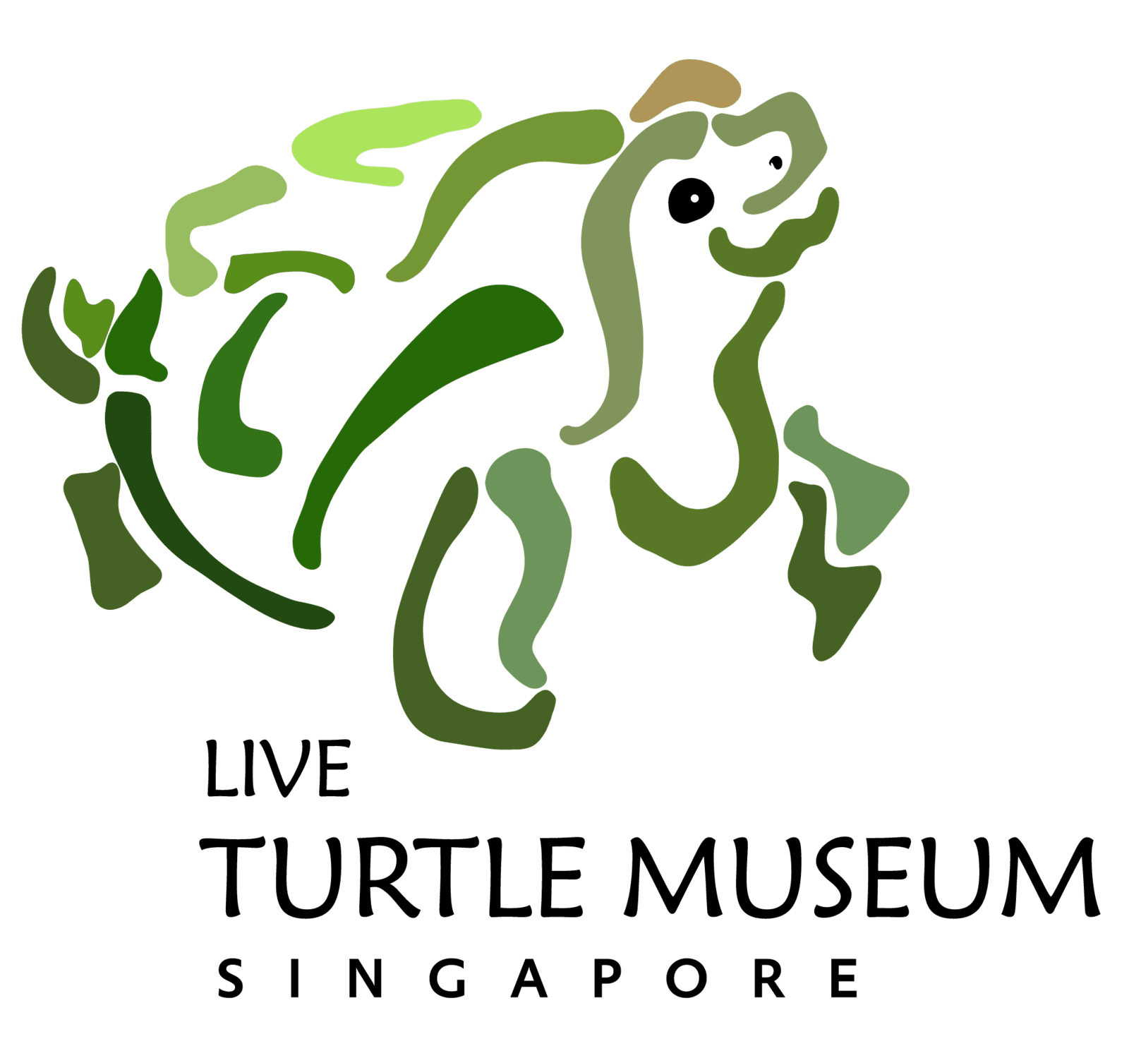 The Live Turtle and Tortoise Museum